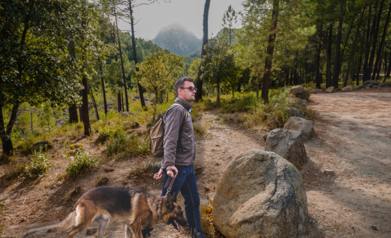 Rutas de Senderismo en Gavà para Amantes de la Naturaleza