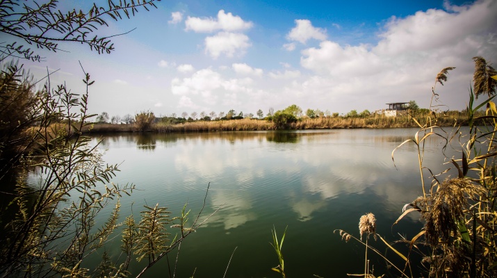 Explora el Delta del Llobregat. Cerca De Mi