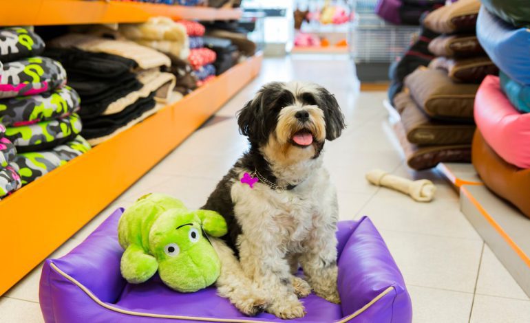 Tiendas de Mascotas en el Baix Llobregat.