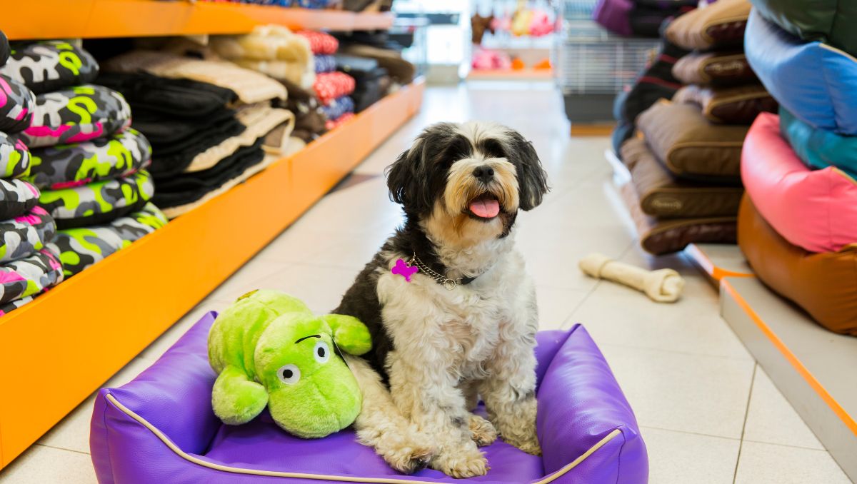 Tiendas de Mascotas en el Baix Llobregat.