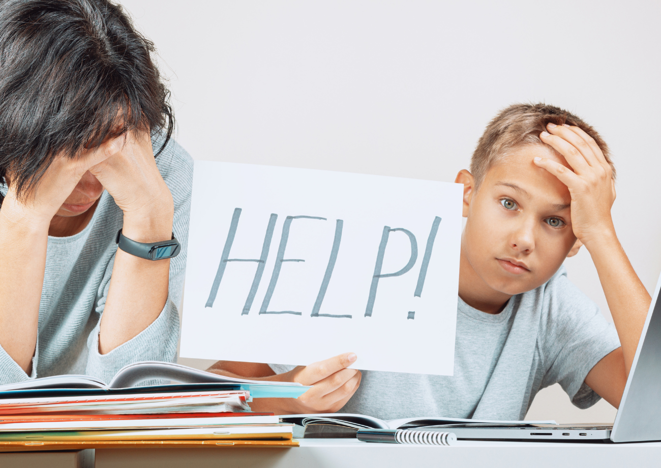 Estudios y bienestar familiar.