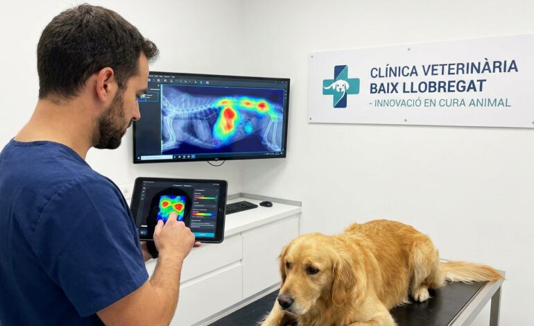 IA en clínicas veterinarias Baix Llobregat