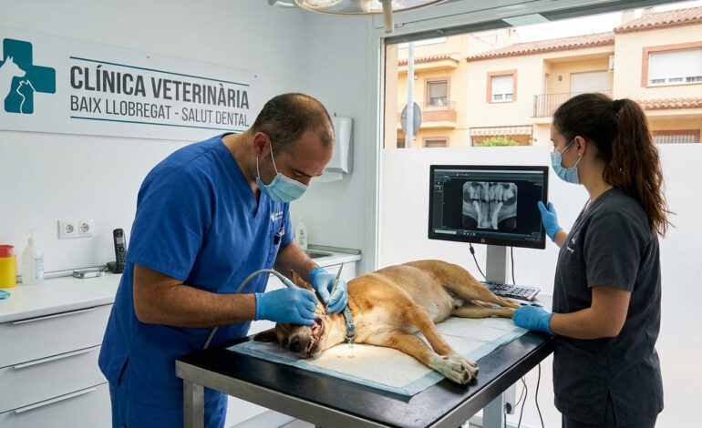Salud dental animal en Baix Llobregat